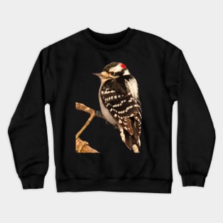 Downy Woodpecker with no background Crewneck Sweatshirt